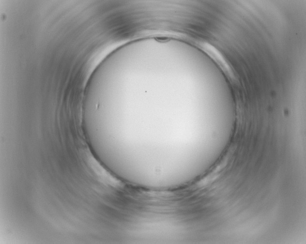 X0000088661244200706152024