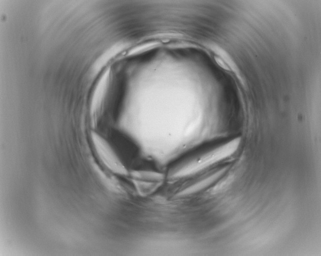 X0000088661245200706152024