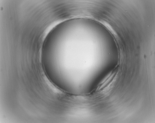 X0000088661246200706152024