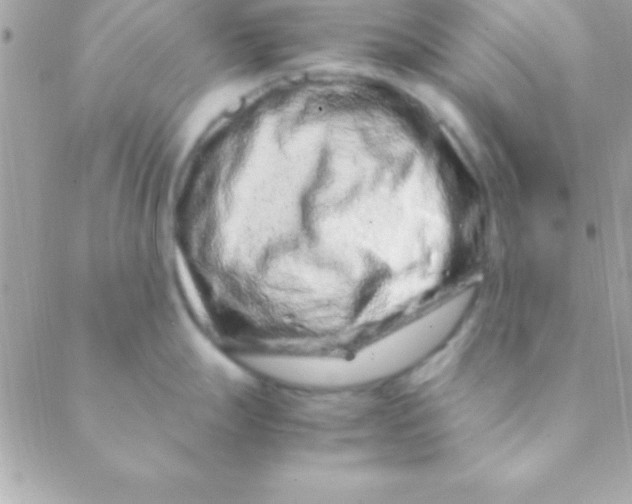 X0000088661247200706152024