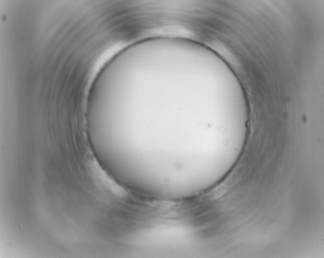 X0000088661248200706152024