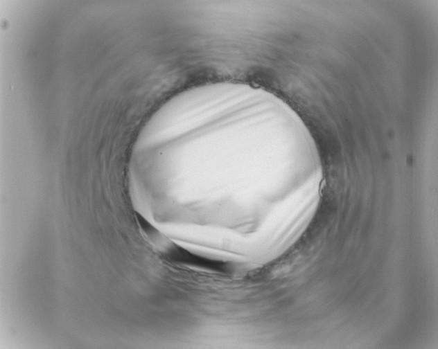 X0000088661249200706152024