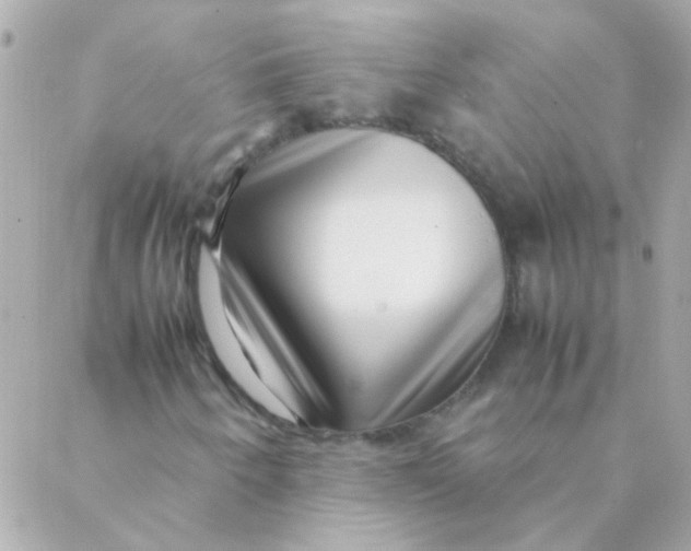 X0000088661250200706152024