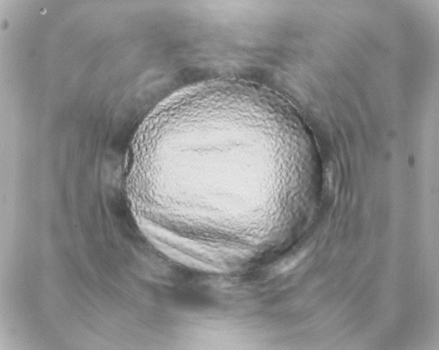 X0000088661251200706152024