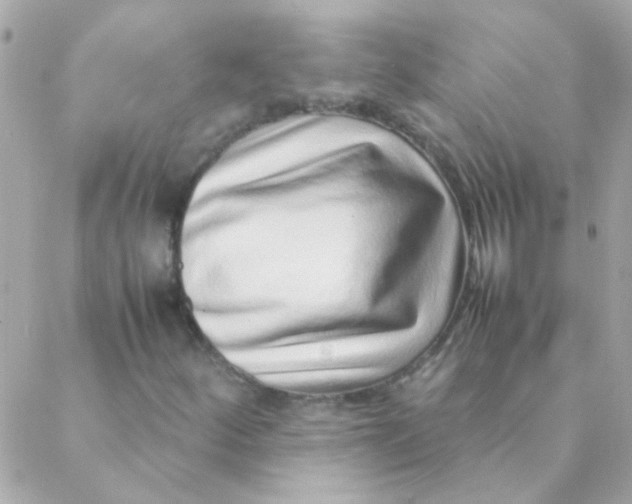 X0000088661252200706152024