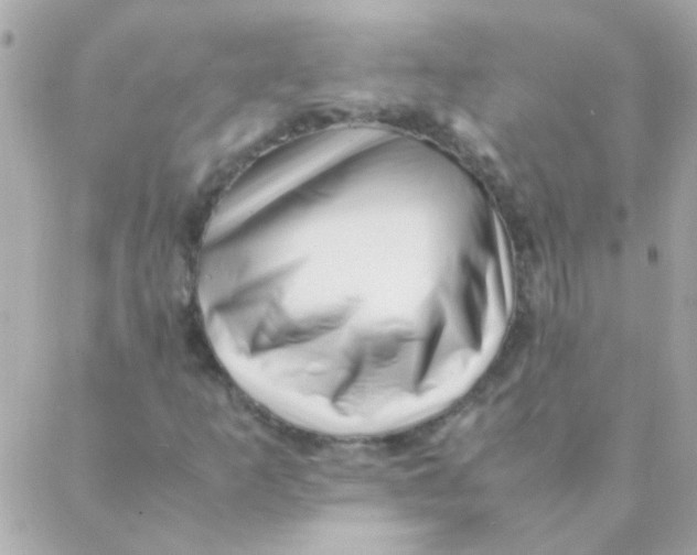 X0000088661253200706152024