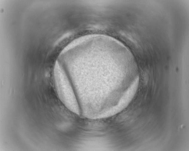 X0000088661254200706152024