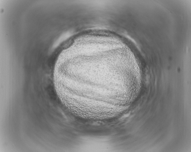 X0000088661255200706152024