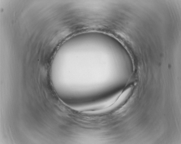 X0000088661257200706152024