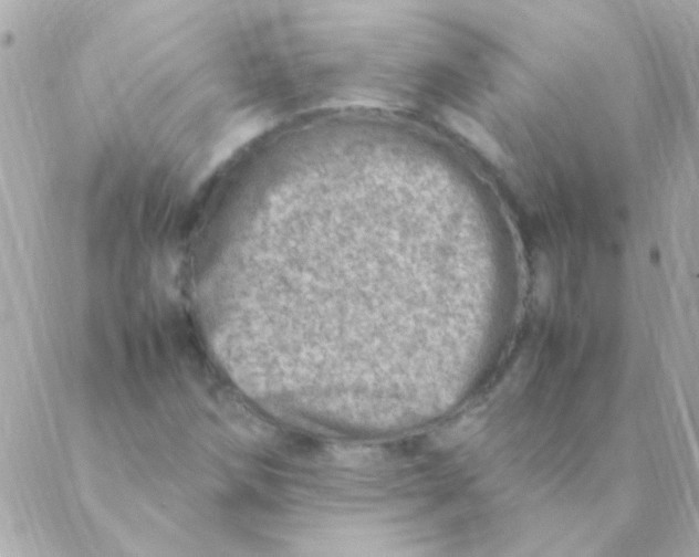 X0000088661258200706152024