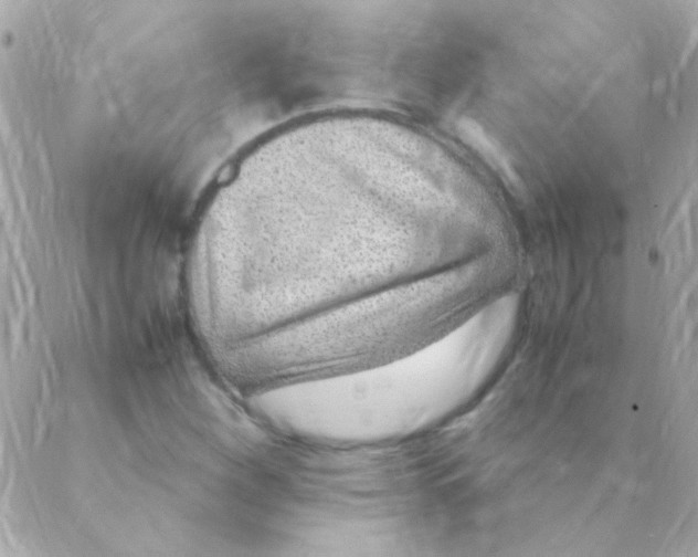 X0000088661260200706152024