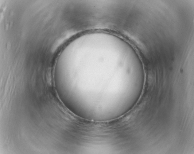 X0000088661262200706152023