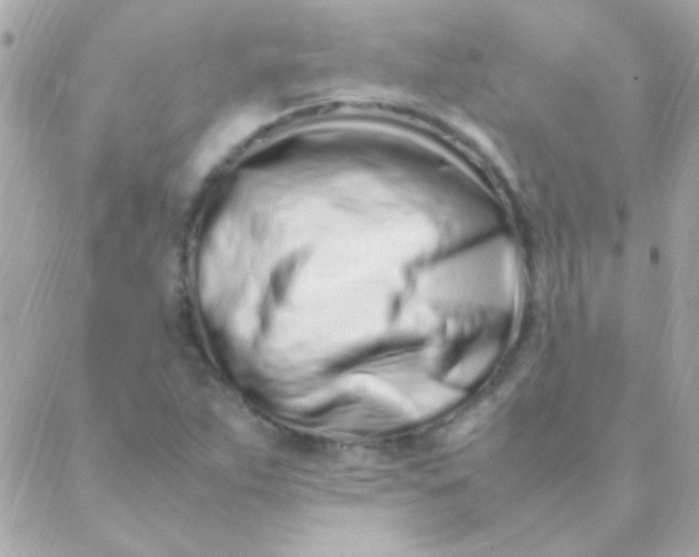 X0000088661263200706152023