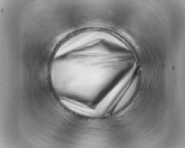 X0000088661264200706152023