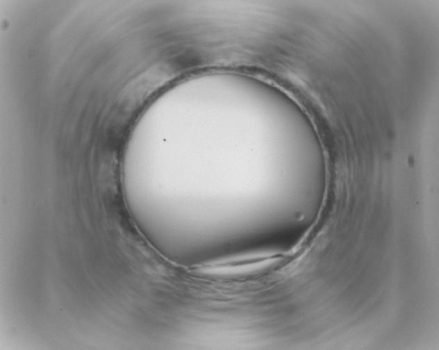 X0000088661265200706152023