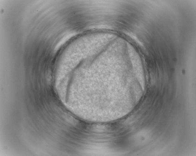 X0000088661266200706152023