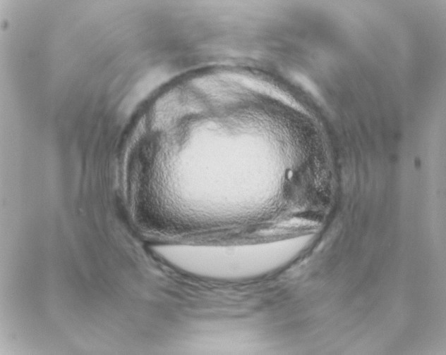 X0000088661267200706152023