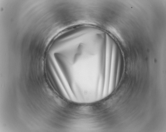 X0000088661268200706152023