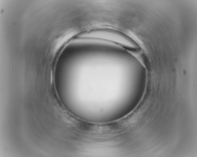 X0000088661269200706152023