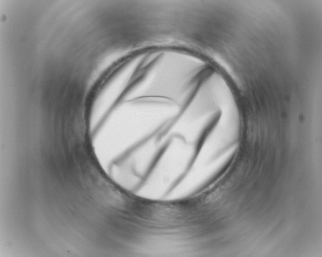 X0000088661270200706152023