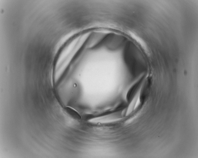 X0000088661272200706152023