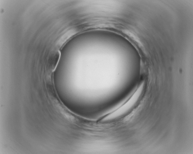 X0000088661273200706152023