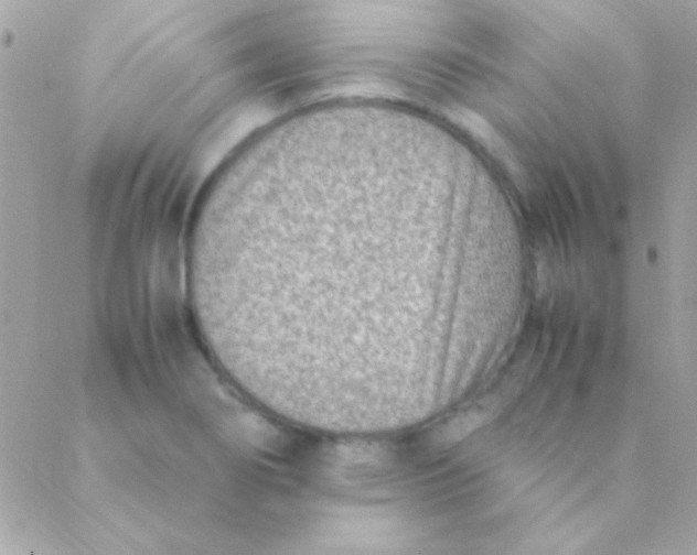 X0000088661274200706152023