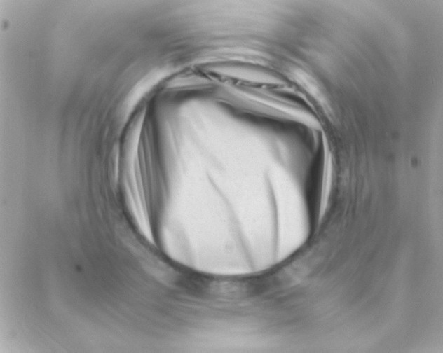 X0000088661275200706152023