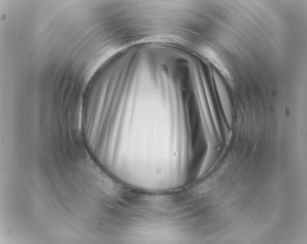 X0000088661276200706152023