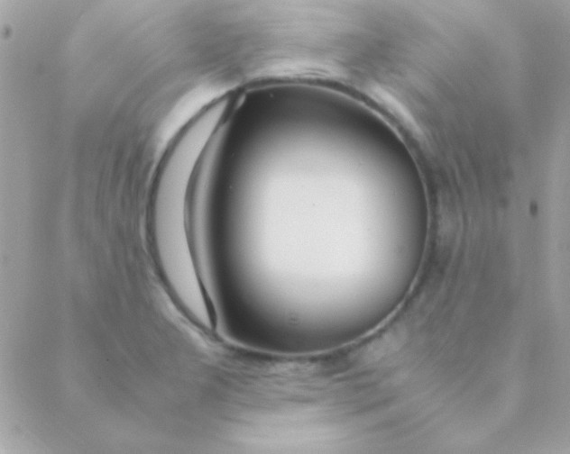 X0000088661277200706152023