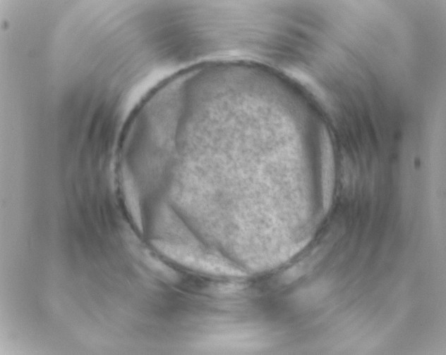 X0000088661278200706152023