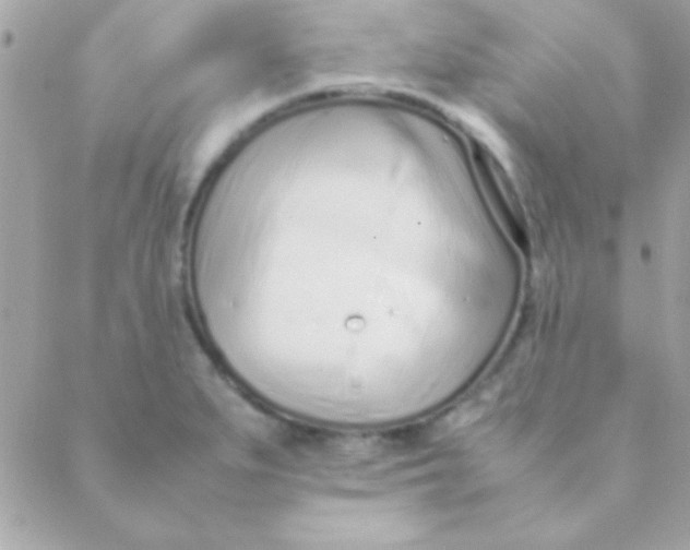 X0000088661279200706152023