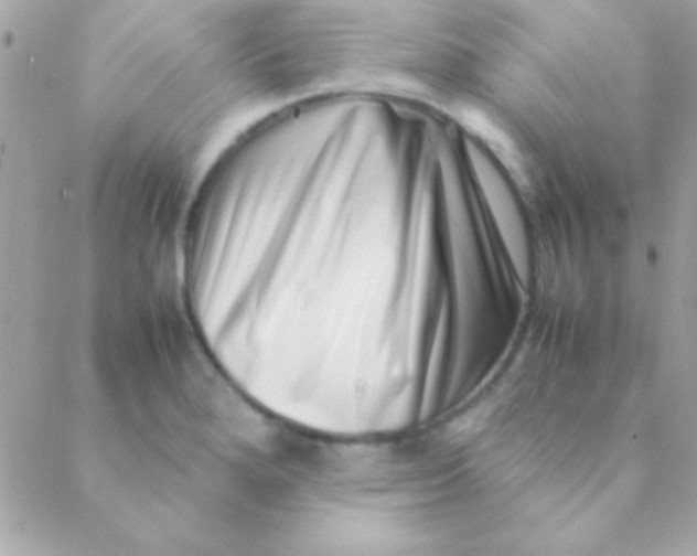 X0000088661280200706152023