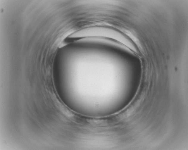 X0000088661281200706152023