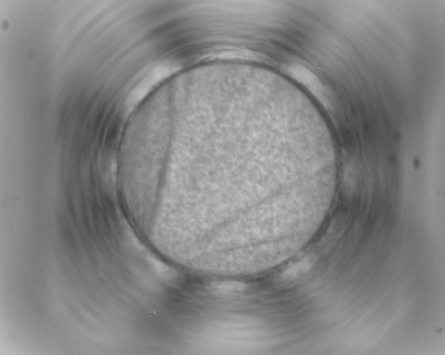 X0000088661282200706152023