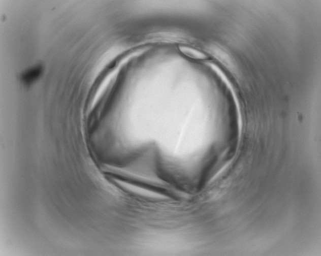 X0000088661283200706152023