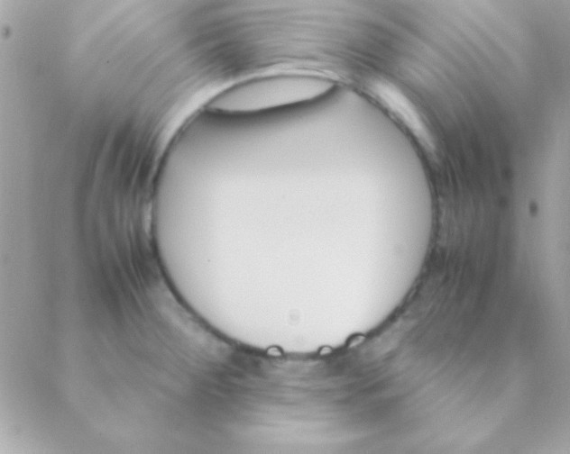 X0000088661284200706152023