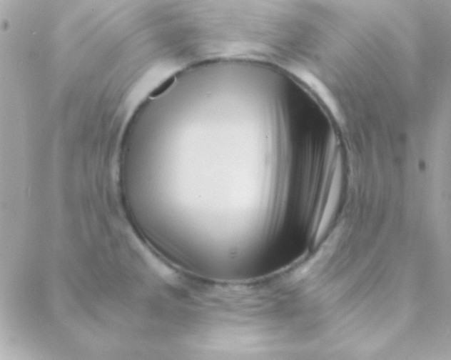 X0000088661285200706152023