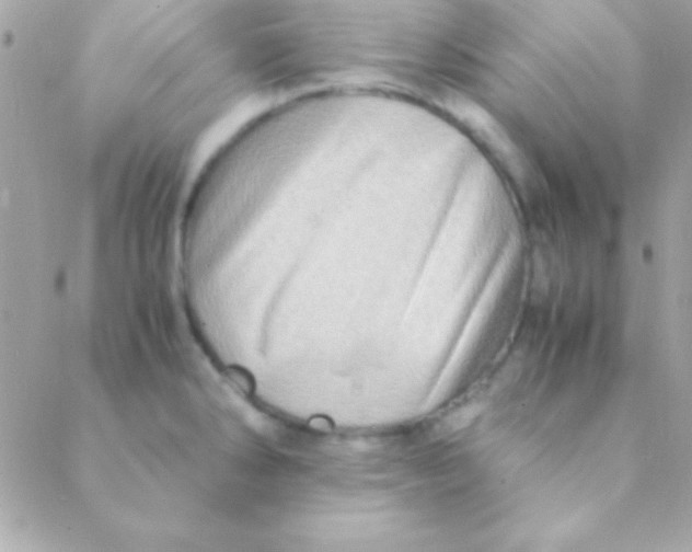 X0000088661286200706152023