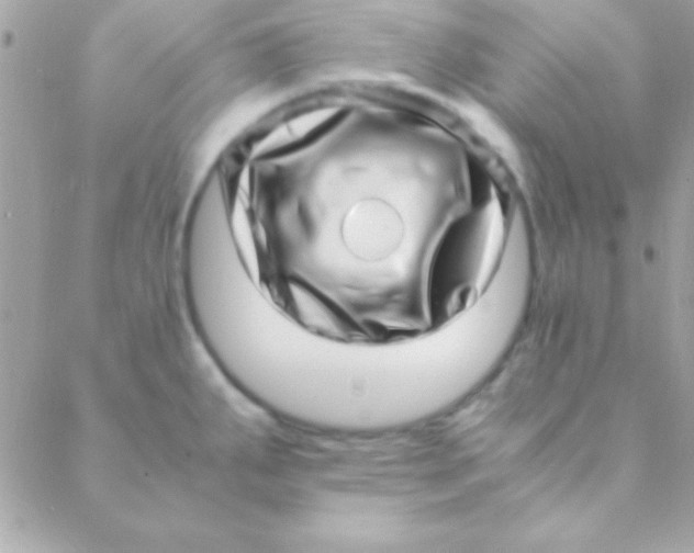 X0000088661287200706152023