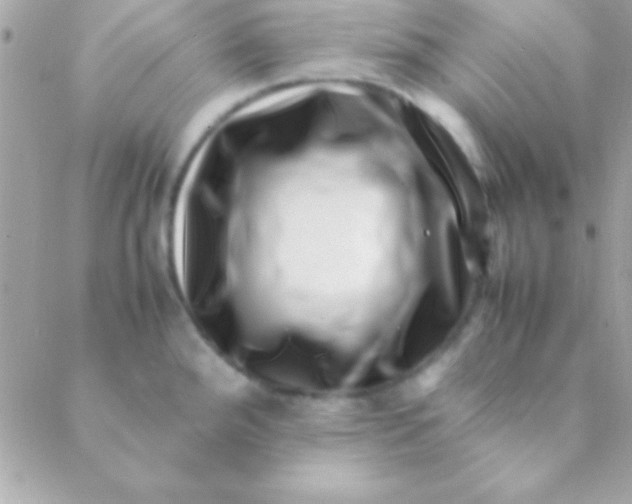 X0000088661288200706152023