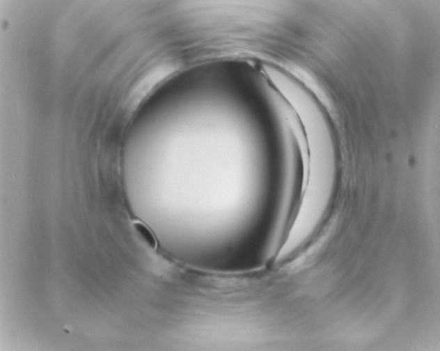 X0000088661289200706152023