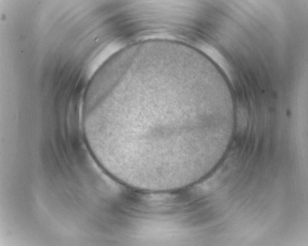 X0000088661290200706152023