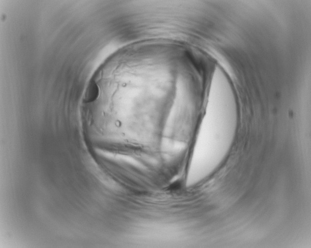 X0000088661291200706152023