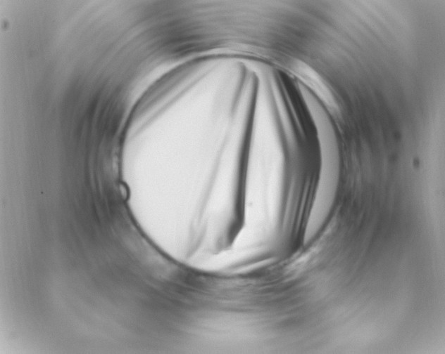 X0000088661292200706152023