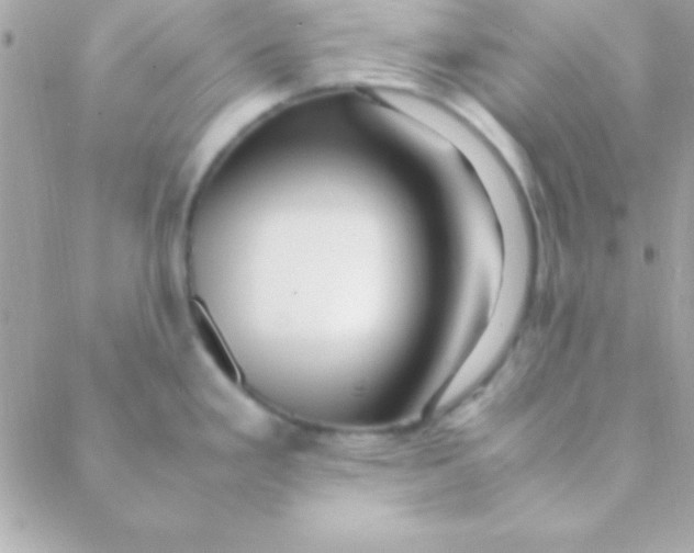 X0000088661293200706152023