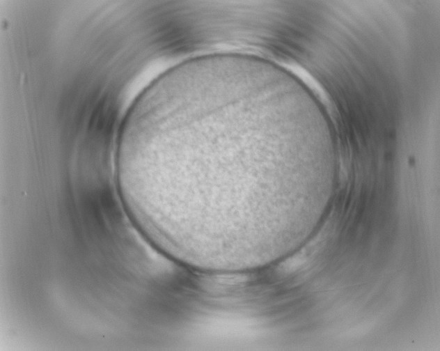 X0000088661294200706152023