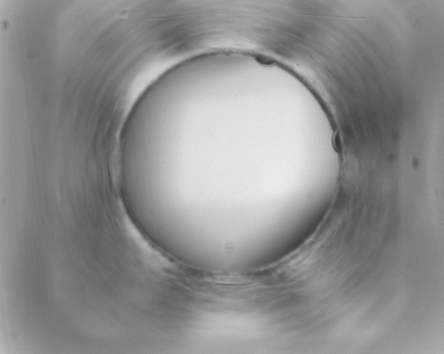 X0000088661295200706152023