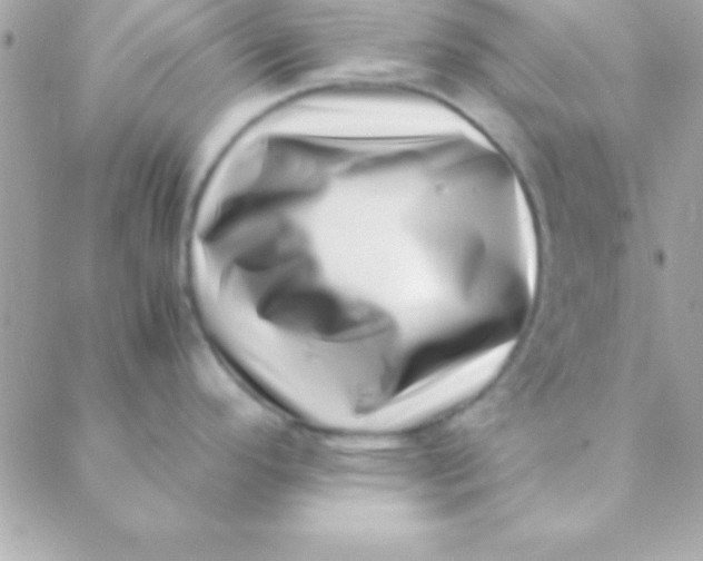 X0000088661296200706152023