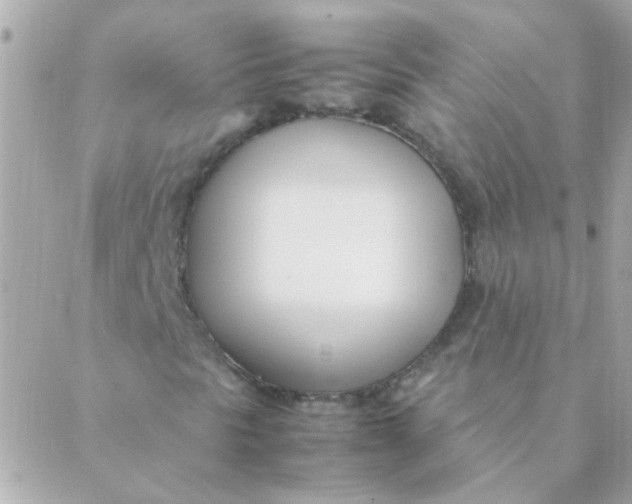 X0000088661297200706152022